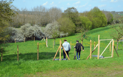 Der Schulwald ist fertig