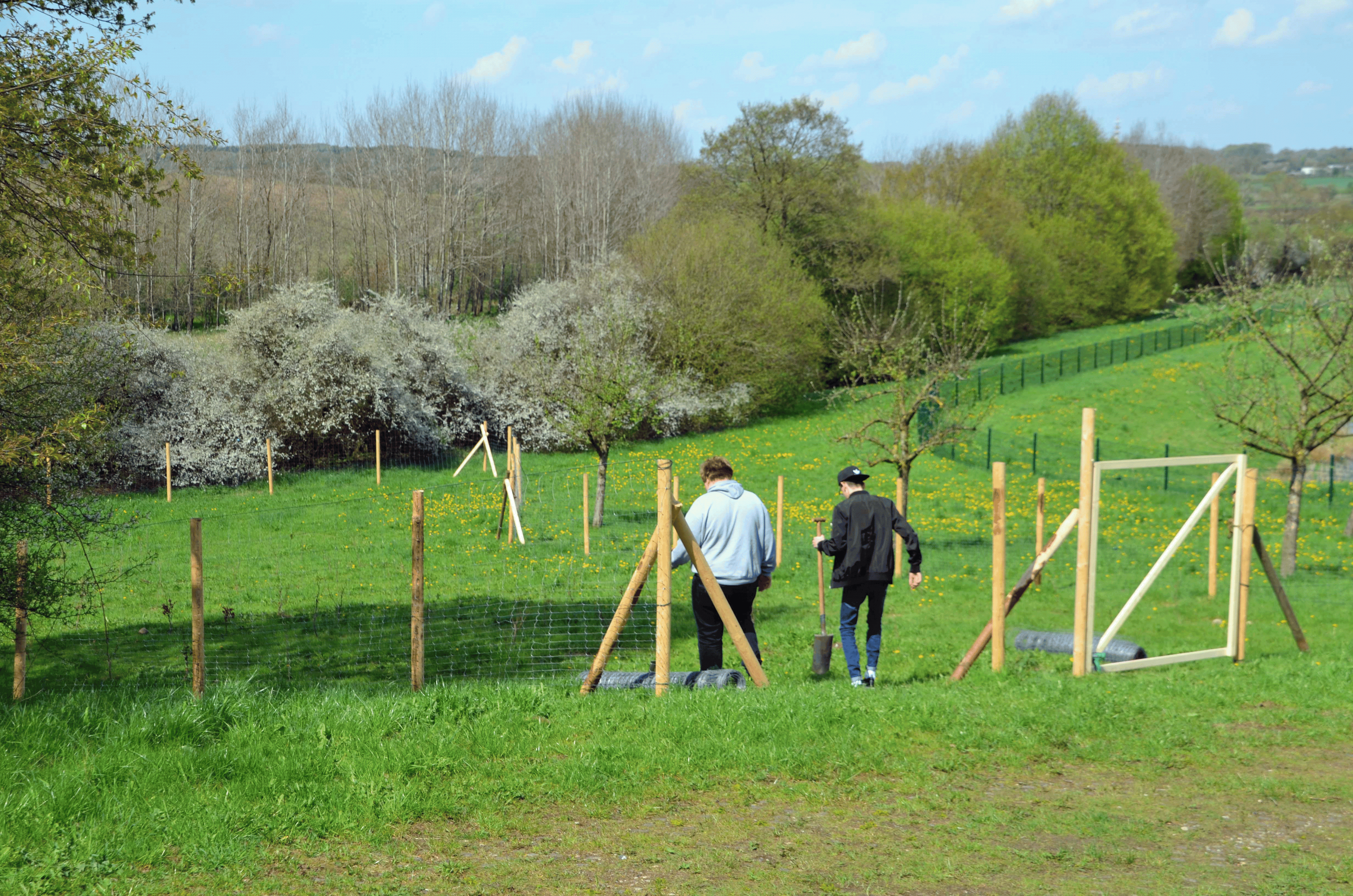 Der Schulwald ist fertig