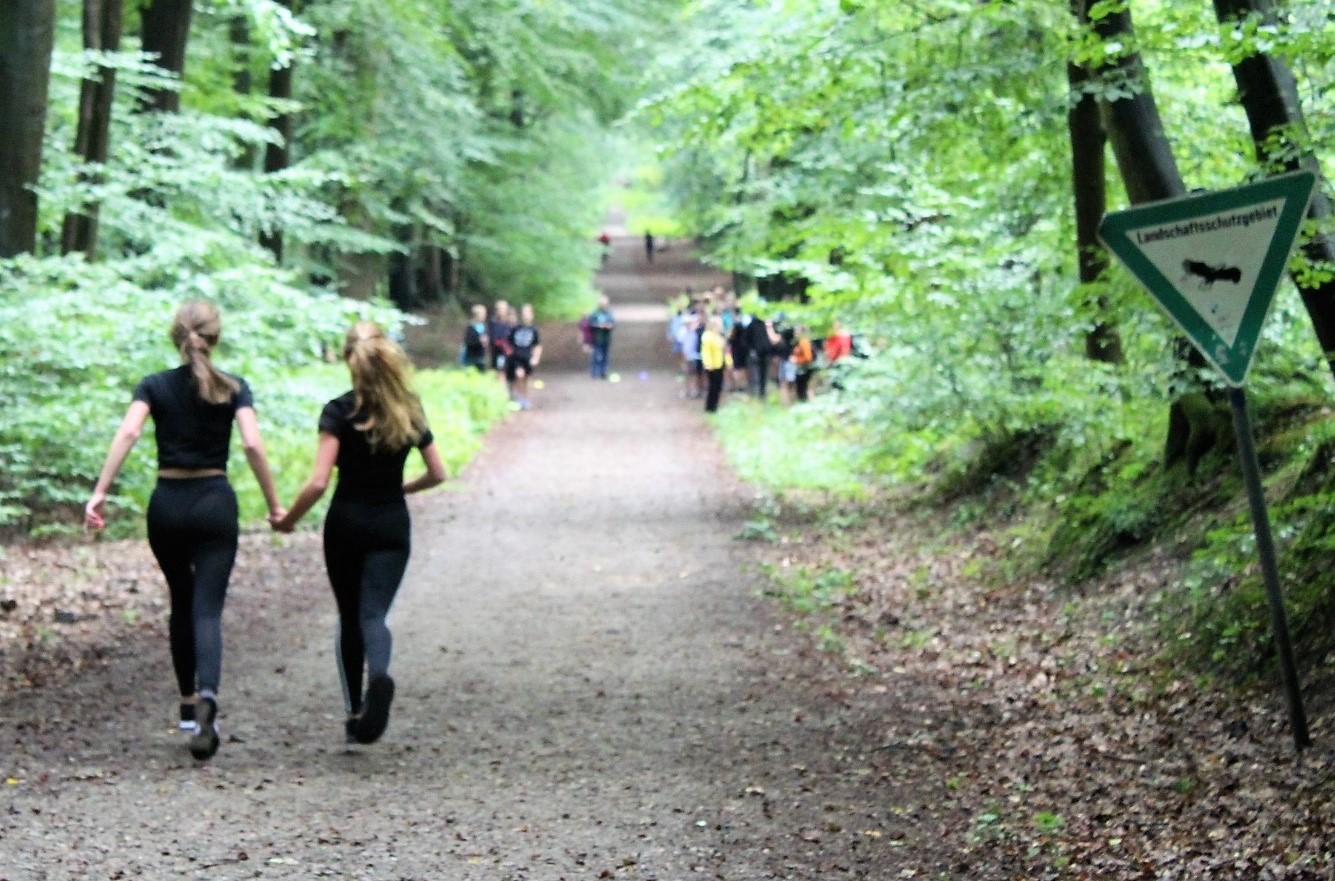 Der Waldlauf 2019