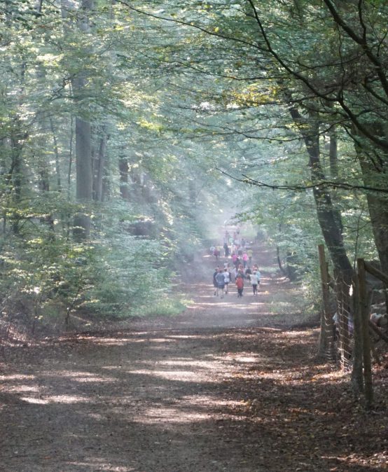 Waldlauf 2024