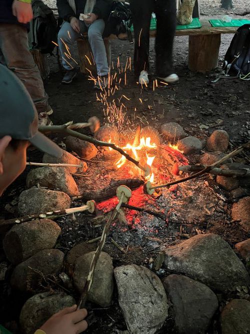 AOK Waldprojekt der 7a vom 6.10.-8.10.2025 AOK Waldprojekt der 7a vom 6.10.-8.10.2025